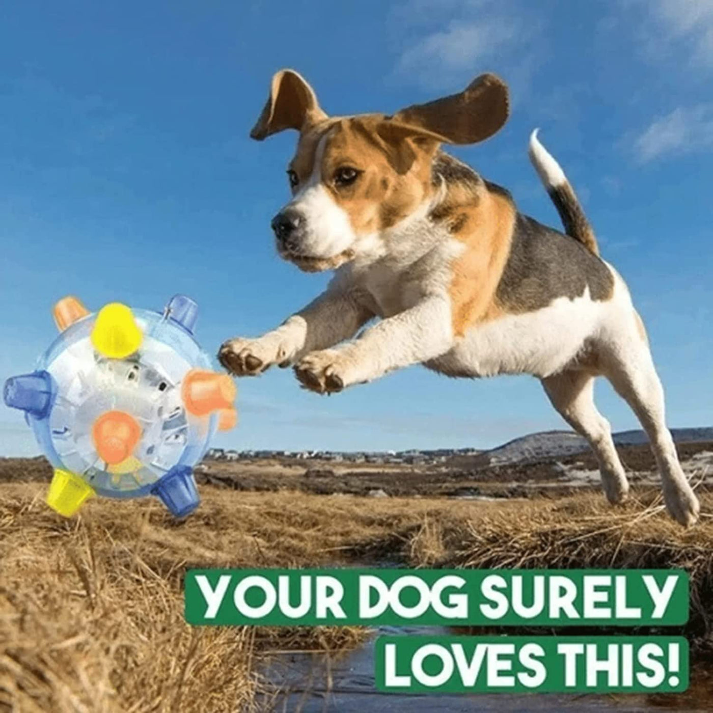 BouncyKid™ Hoppebold til Hunde og Katte - i dag 1+1 gratis