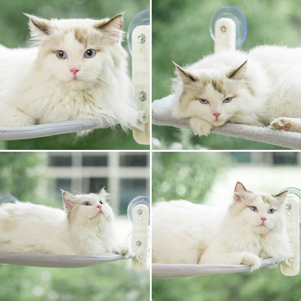 KittySeat™️ Hyggelig Siddepind til Katte i Vinduer