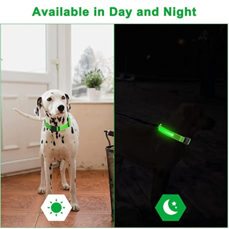 VisibCollar™ Blinkende LED-hundehalsbånd | I dag 1+1 gratis