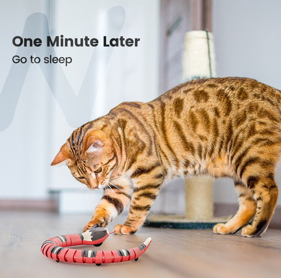 CrazySnake™ Cat Smart Sensing Snake