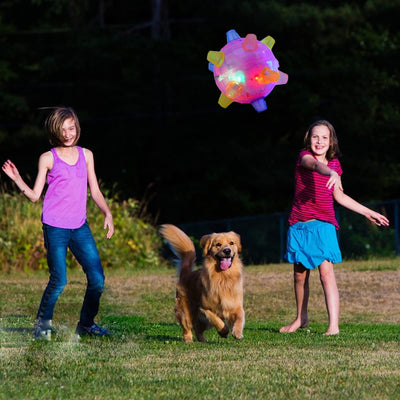 BouncyKid™ Hoppebold til Hunde og Katte - i dag 1+1 gratis