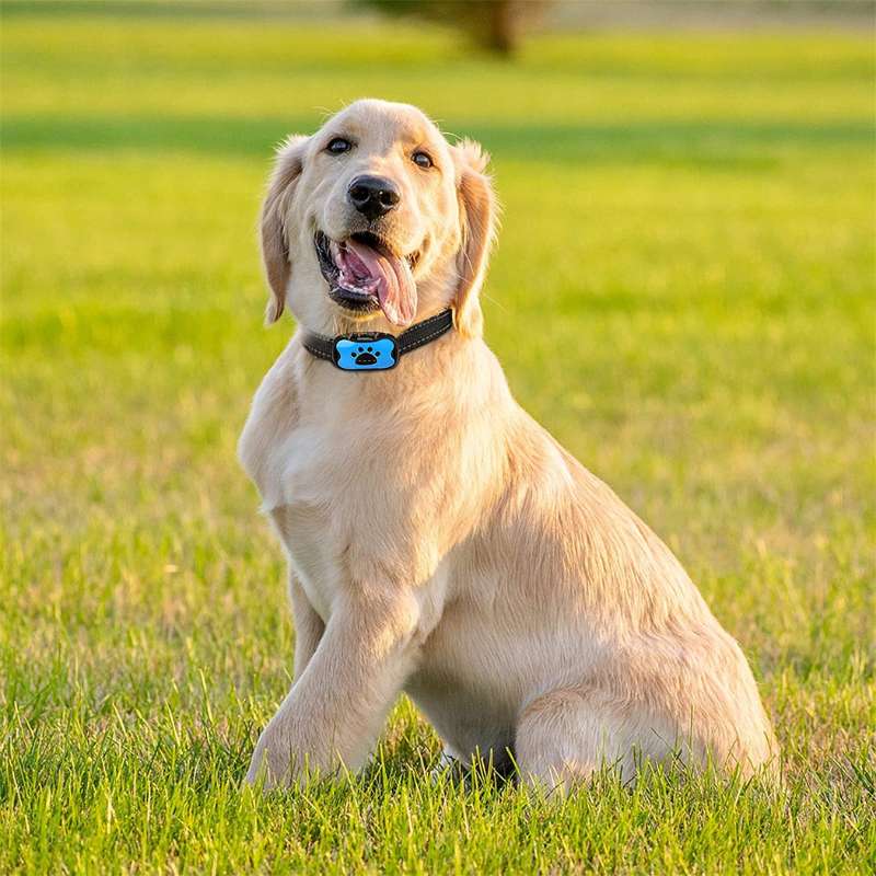 GentleDog™ Hundehalsbånd til Gøende Hunde