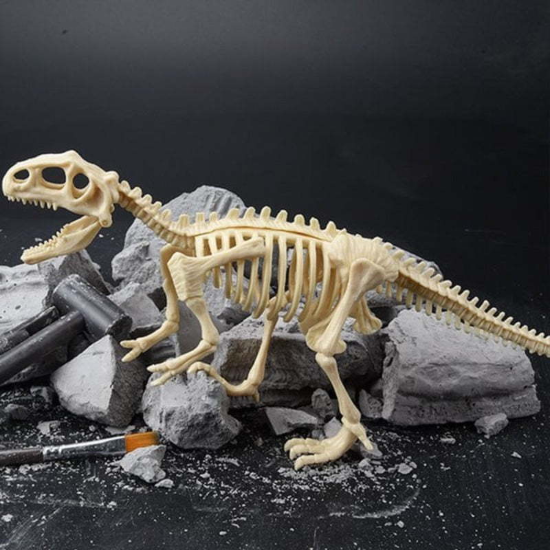 DinoDig™ Dinosaur Fossil Udgravningssæt | I dag 50% Rabat