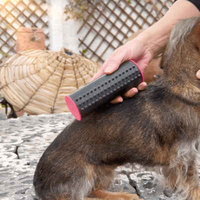 Groomer™ Kam til at Fjerne Hundehår | Begrænset lager